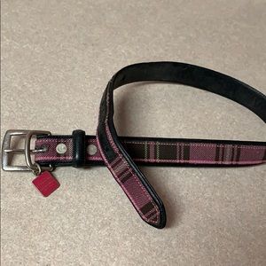 Coach dog collar size large, neck size 18-22”